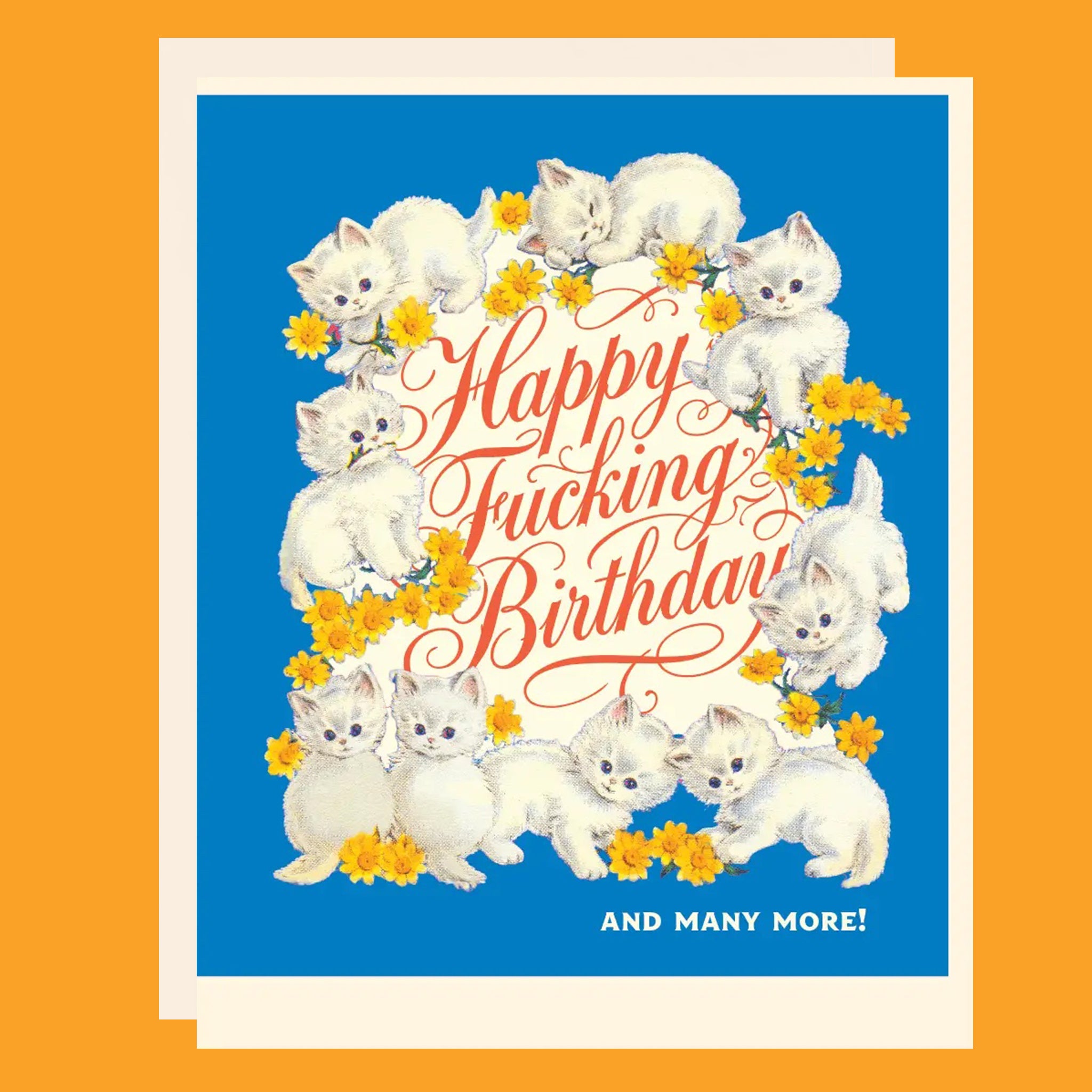 Greeting card with white kittens and yellow daisies. The card reads "happy fucking birthday and many more!"