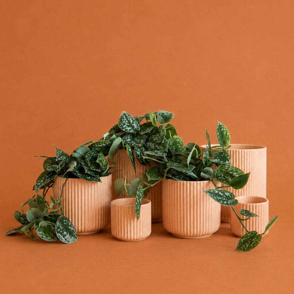 A set of terracotta-colored ribbed planters in various sizes, arranged with green leafy houseplants against a solid terracotta background.
