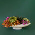 An elongated ceramic pedestal bowl sits on a dark green background.  The bowl is planted with beautiful succulents and cacti.