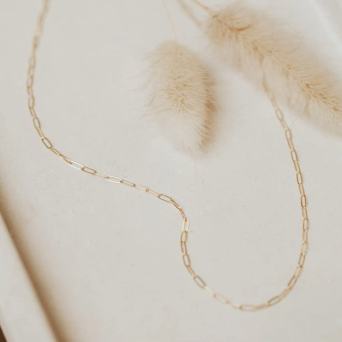 Maeve Chain – Pigment