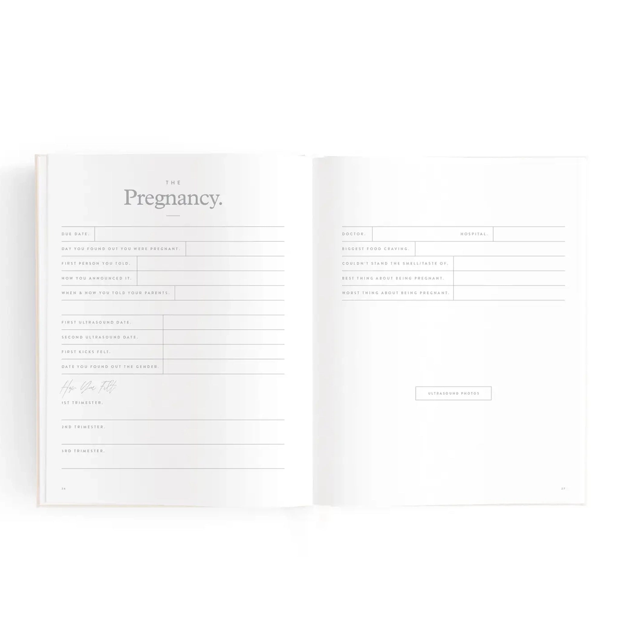 The book open to a page that has a place to write about the Pregnancy of the baby. 
