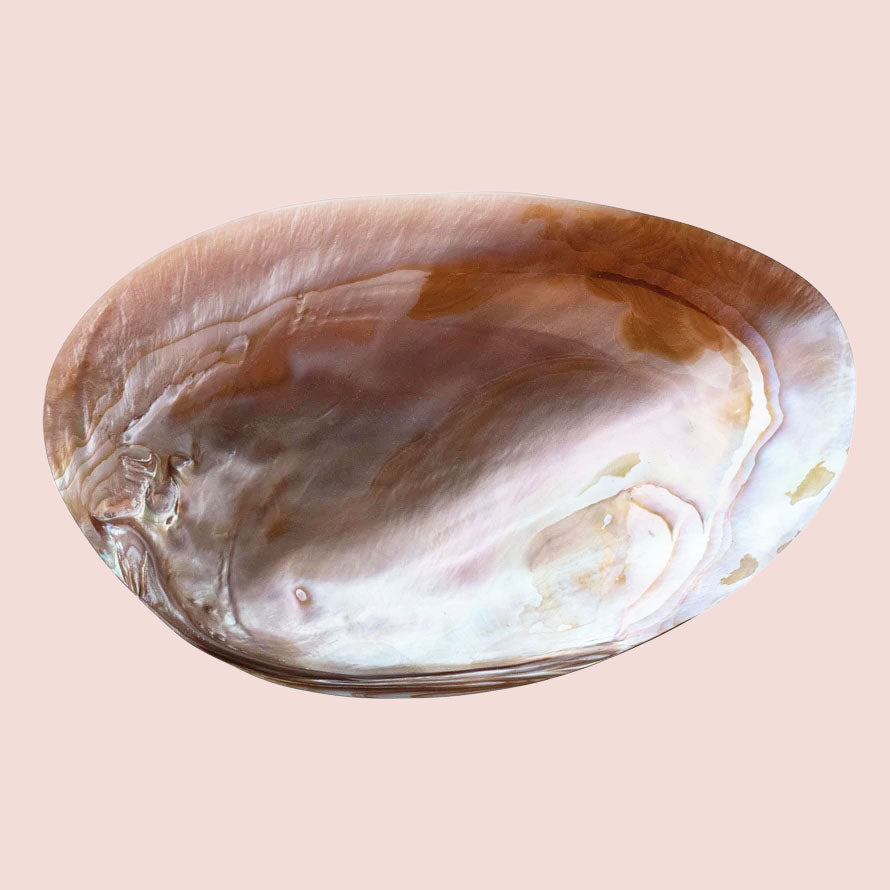 A shell shaped decorative bowl.