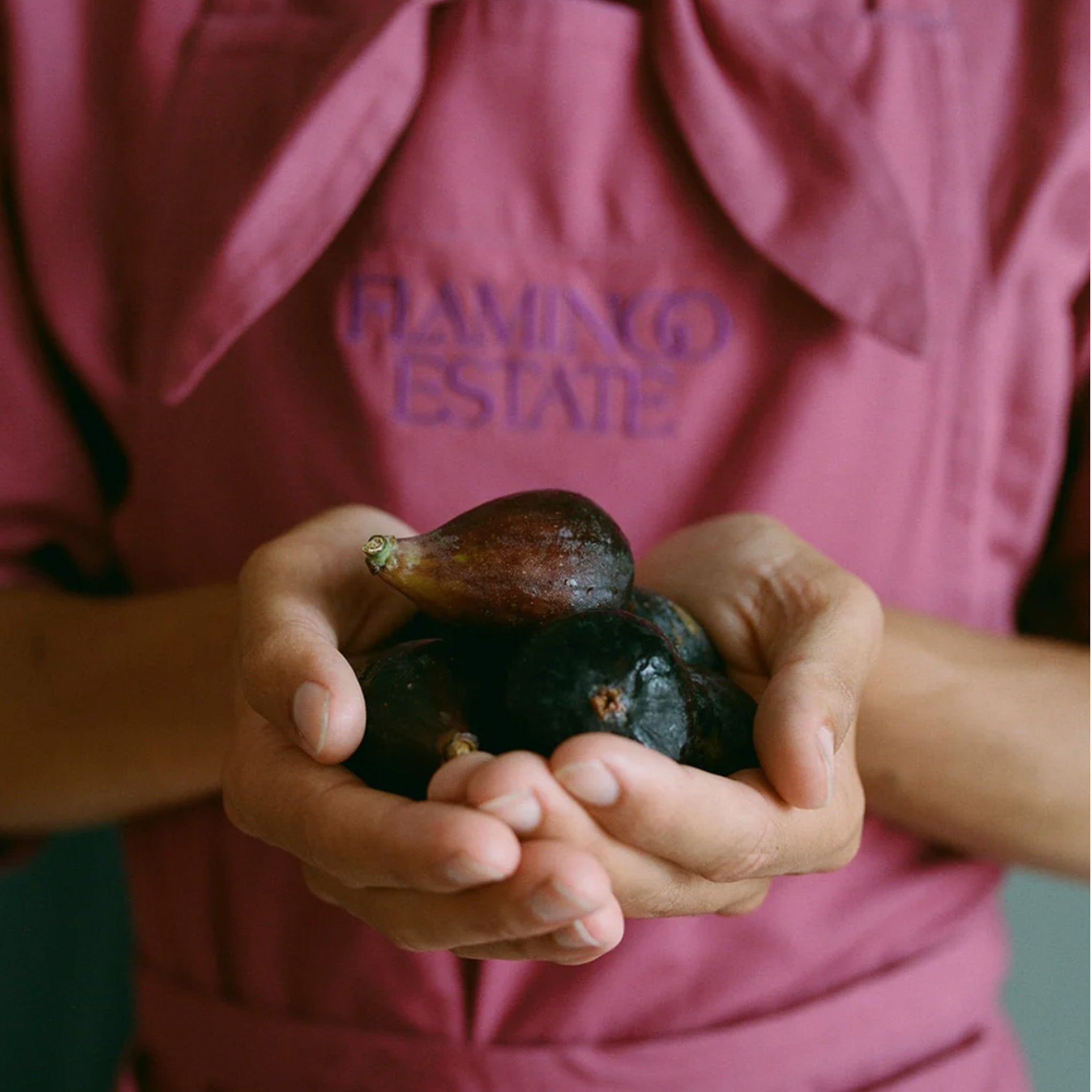 a person in a pink apron holding figs.