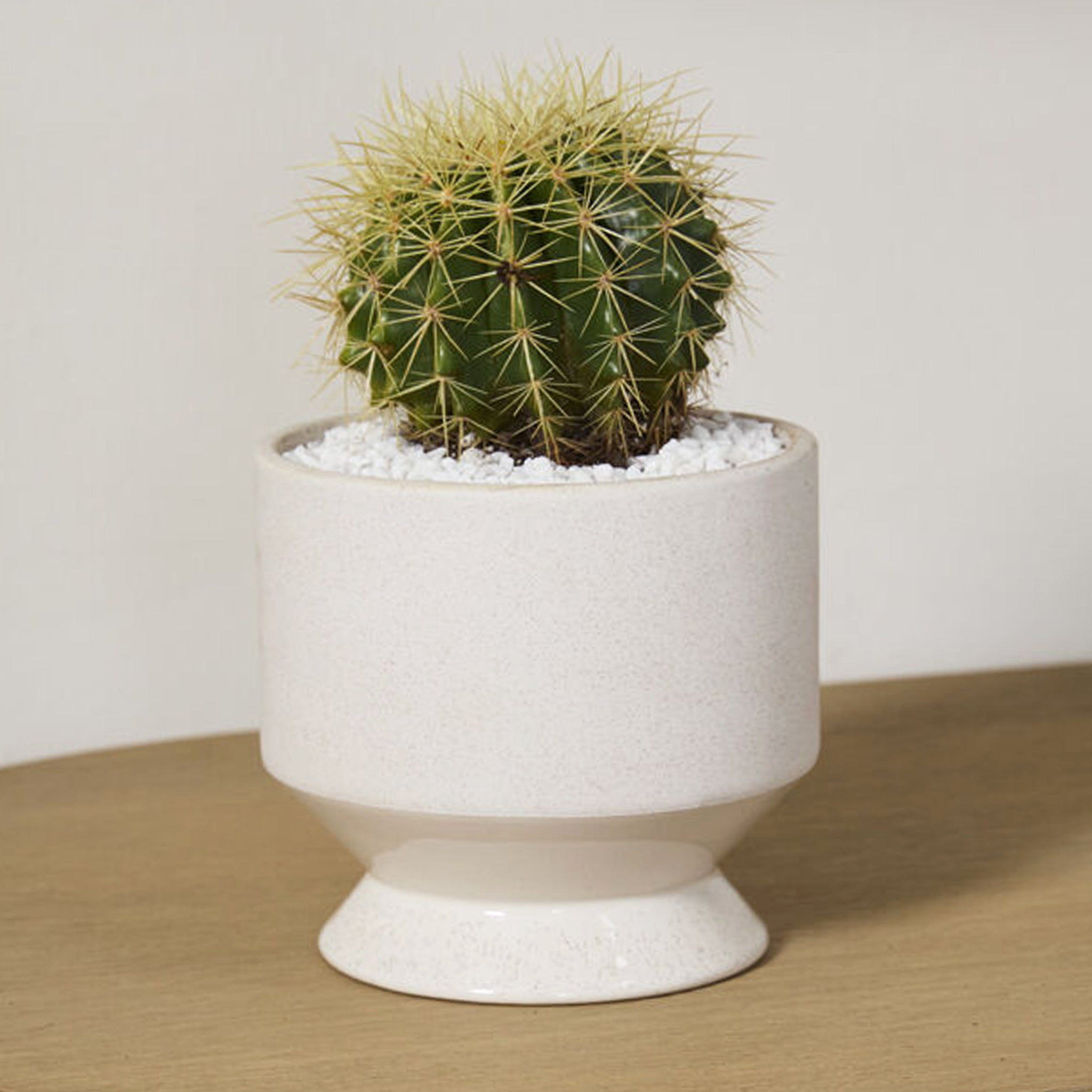 An off white, subtly speckled ceramic pedestal planter. Plant not included. 