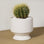 An off white, subtly speckled ceramic pedestal planter. Plant not included. 