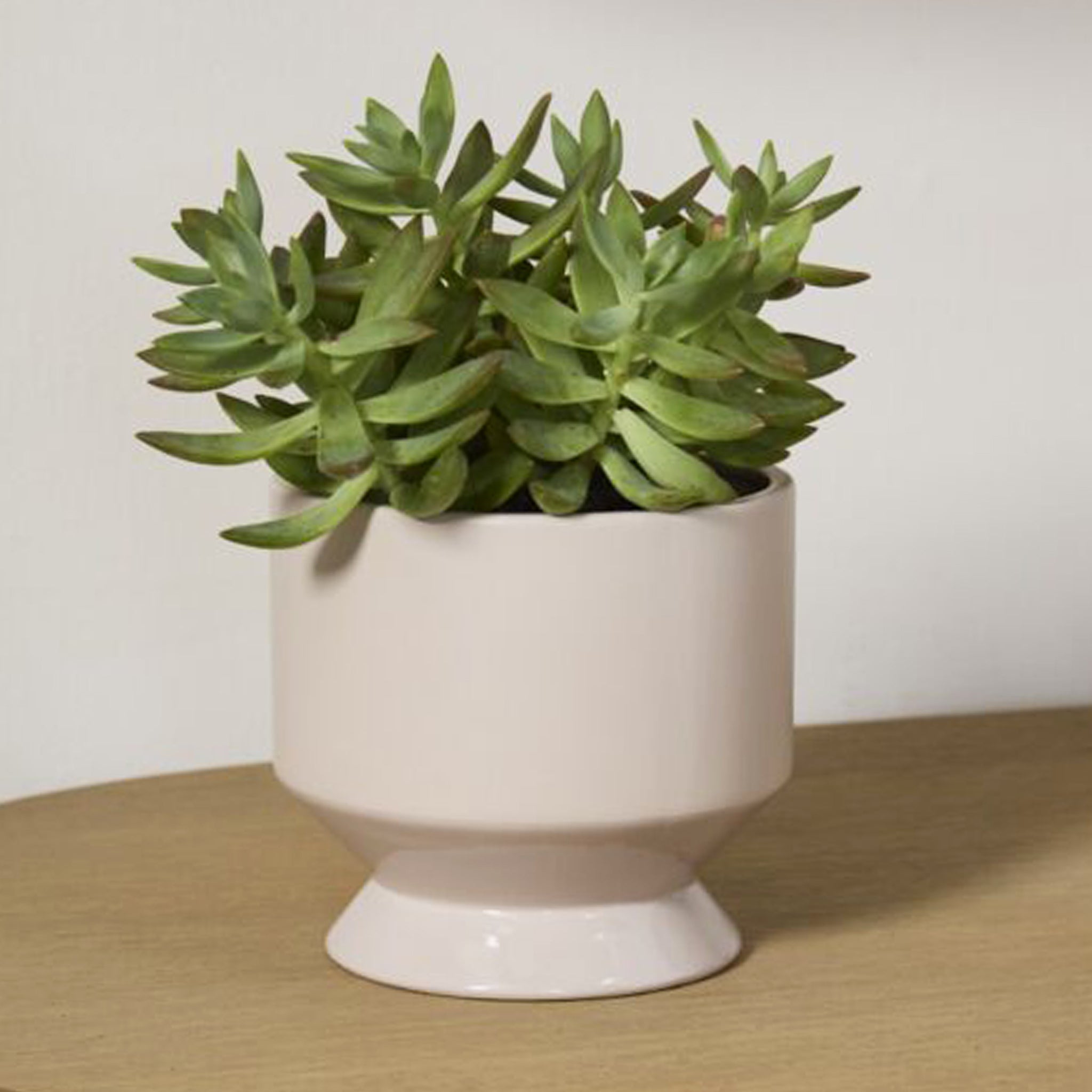 A light tan ceramic pedestal pot. 