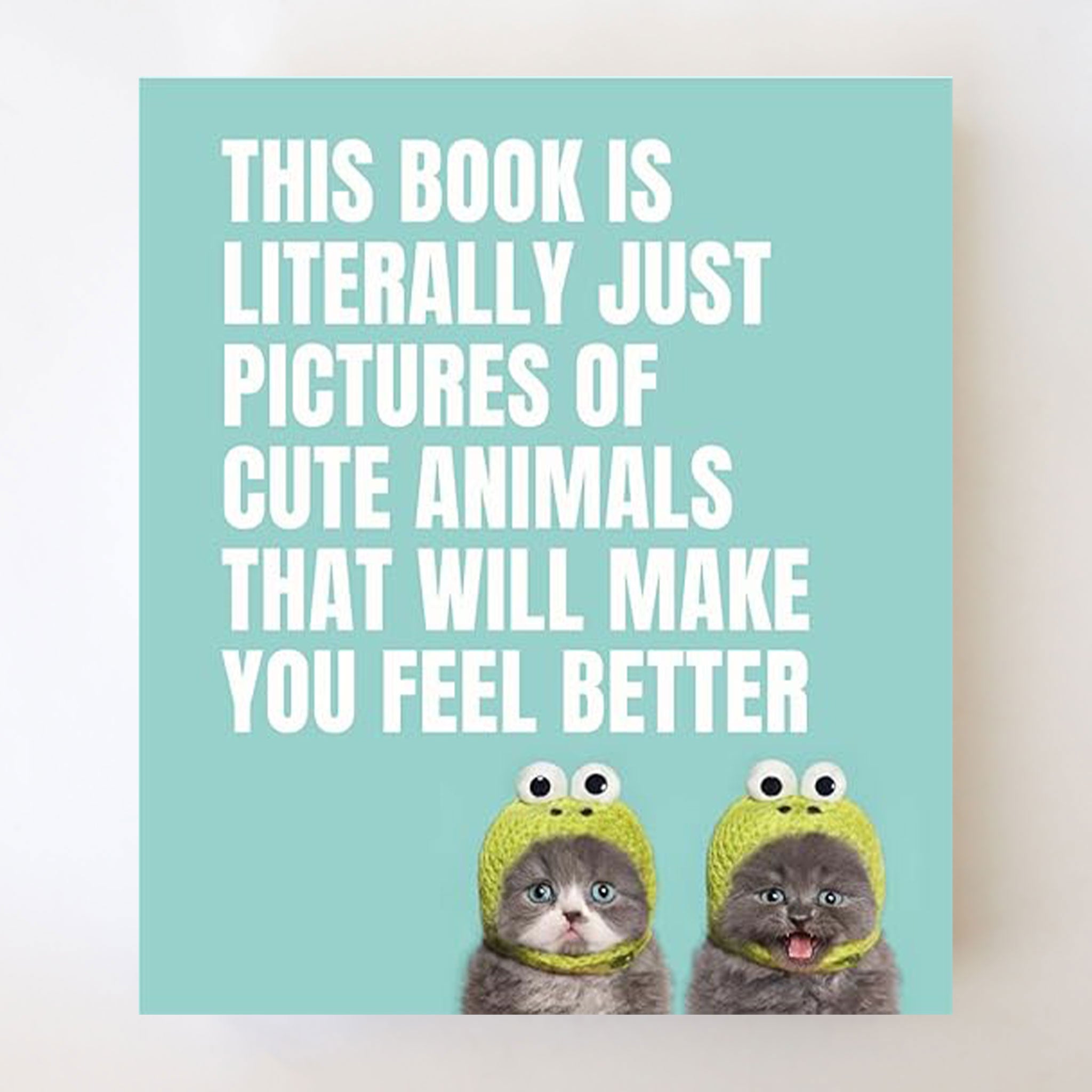 On a white background is a blue book cover with two small grey kittens and white text that reads, &quot;This Book Is Literally Just Pictures Of Cute Animals That Will Make You Feel Better&quot;. 