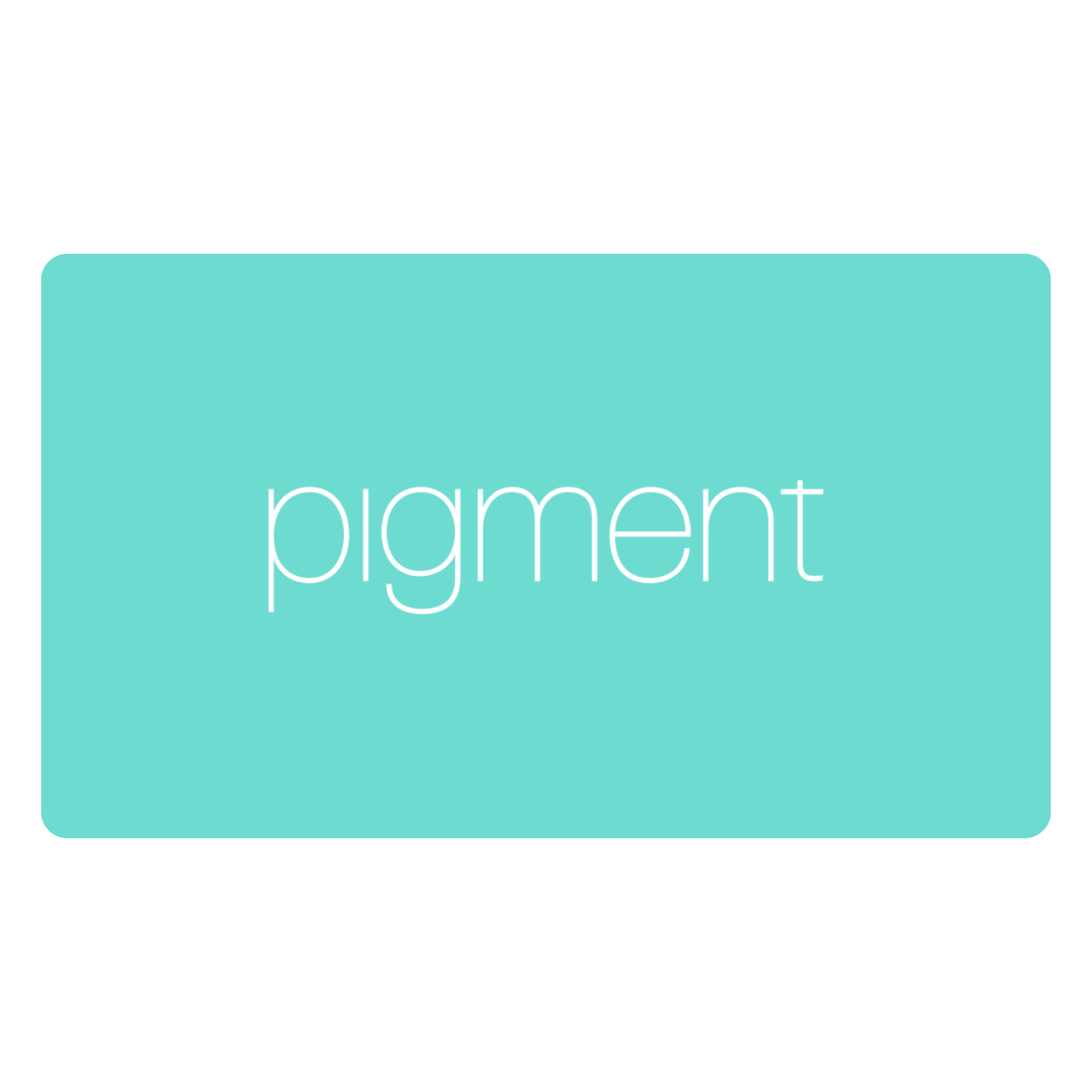 The word 'pigment' in a thin white lowercase sans-serif font centered on a solid turquoise background.