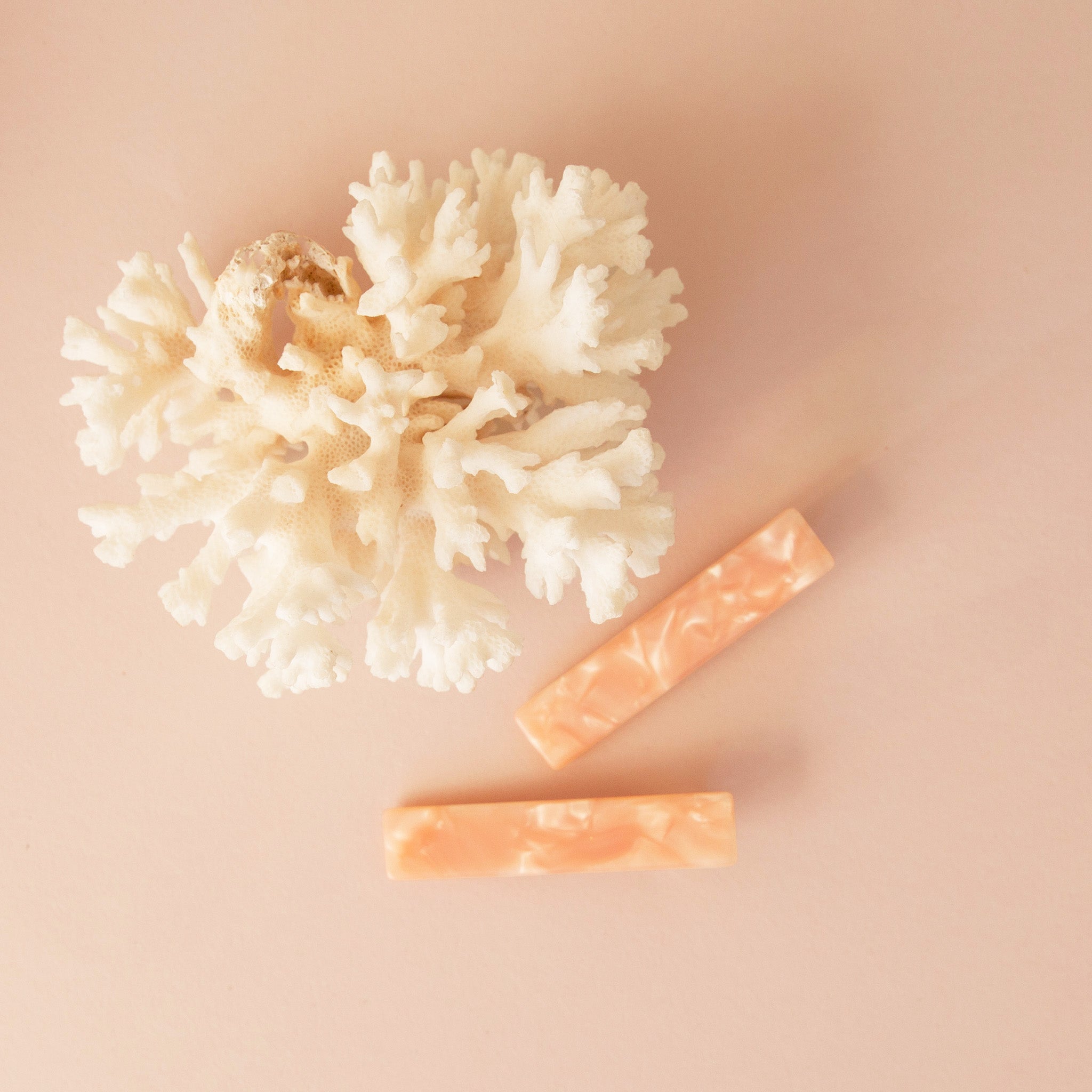 Two pink shell detailed hair barrettes next to a white piece of coral.