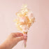 A bouquet of dried florals with tan and pink flowers tied with a pink bow. 