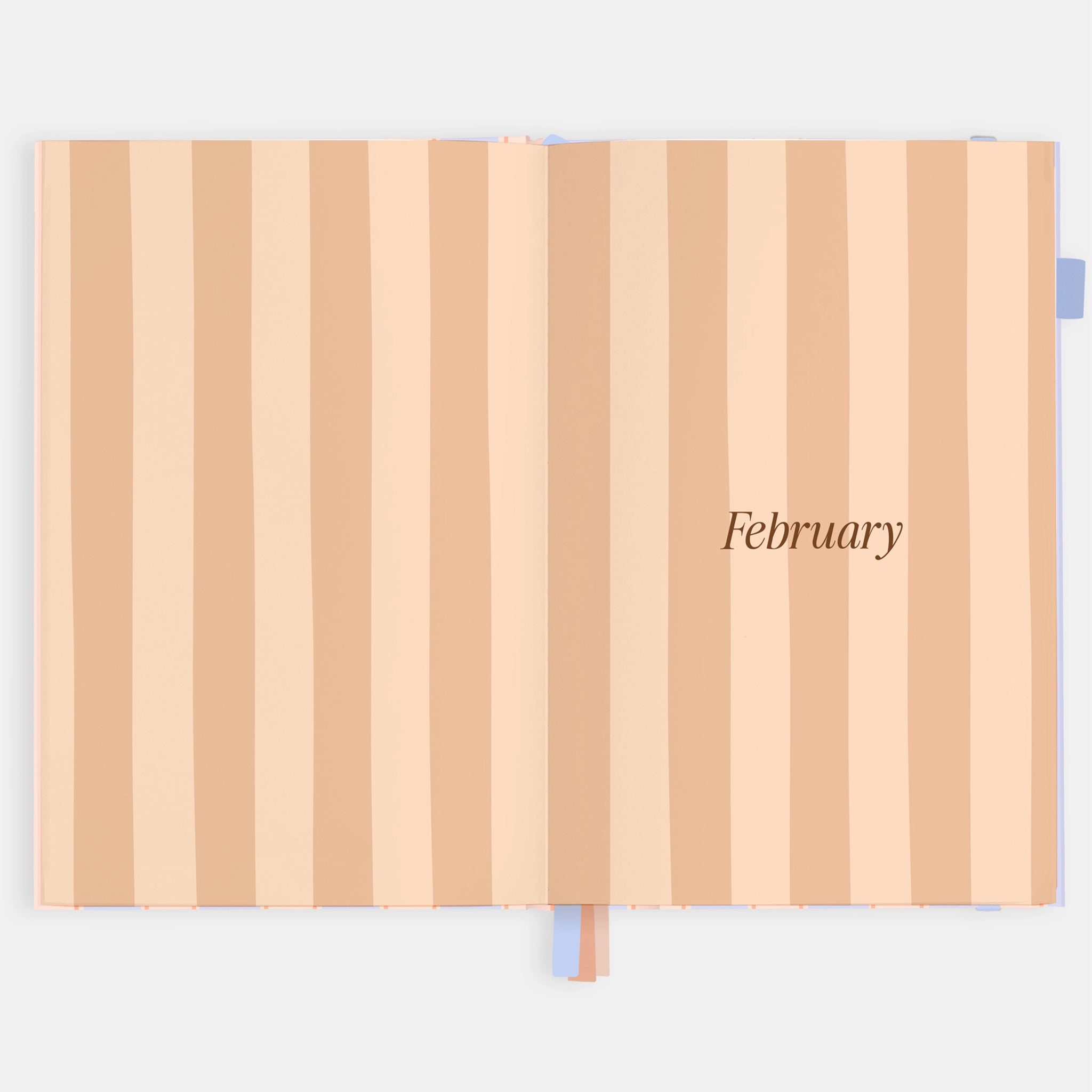 A page inside of the planner with a stripe detail and text that reads, 'February". 