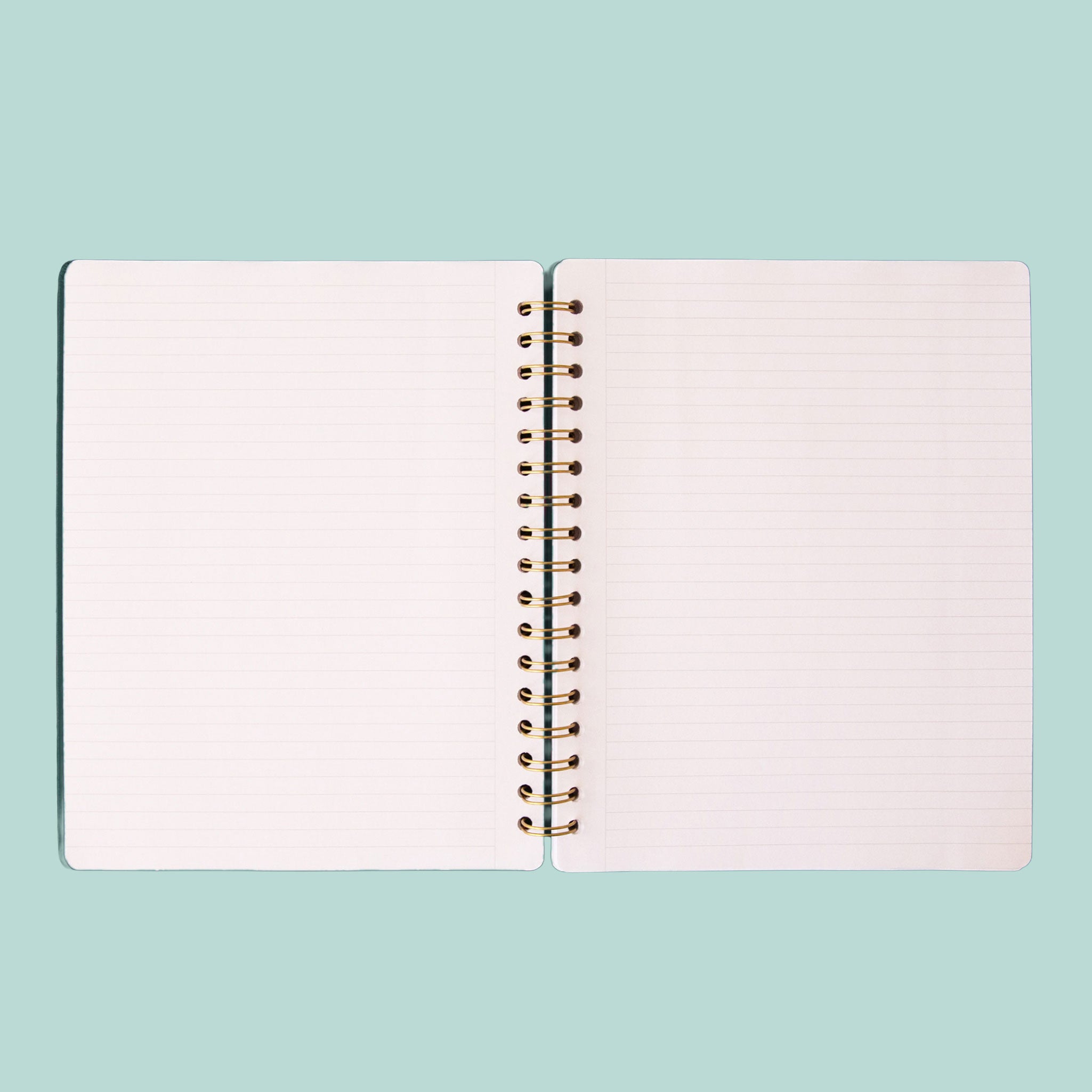 Snake Notebook | Rainforest