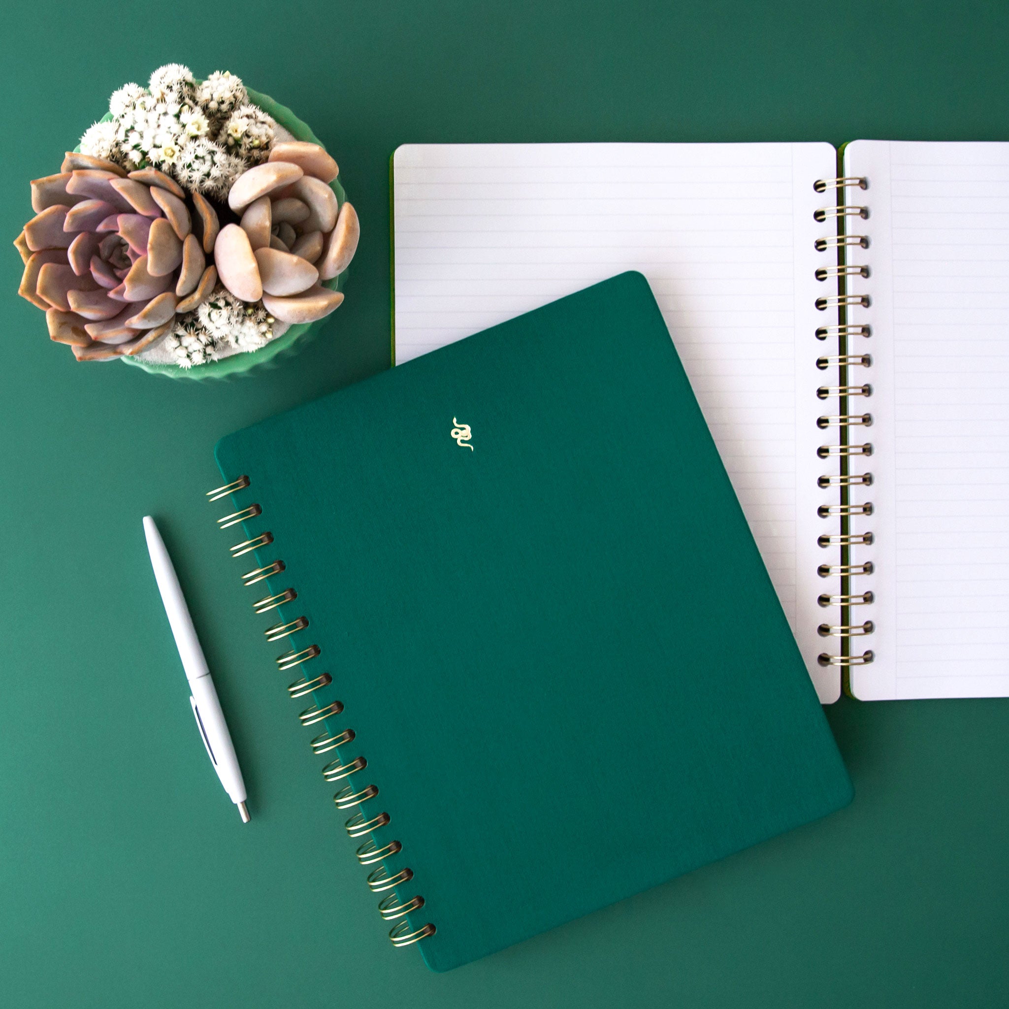 A dark green spiral bound notebook with a gold foiled snake graphic in the top center. 