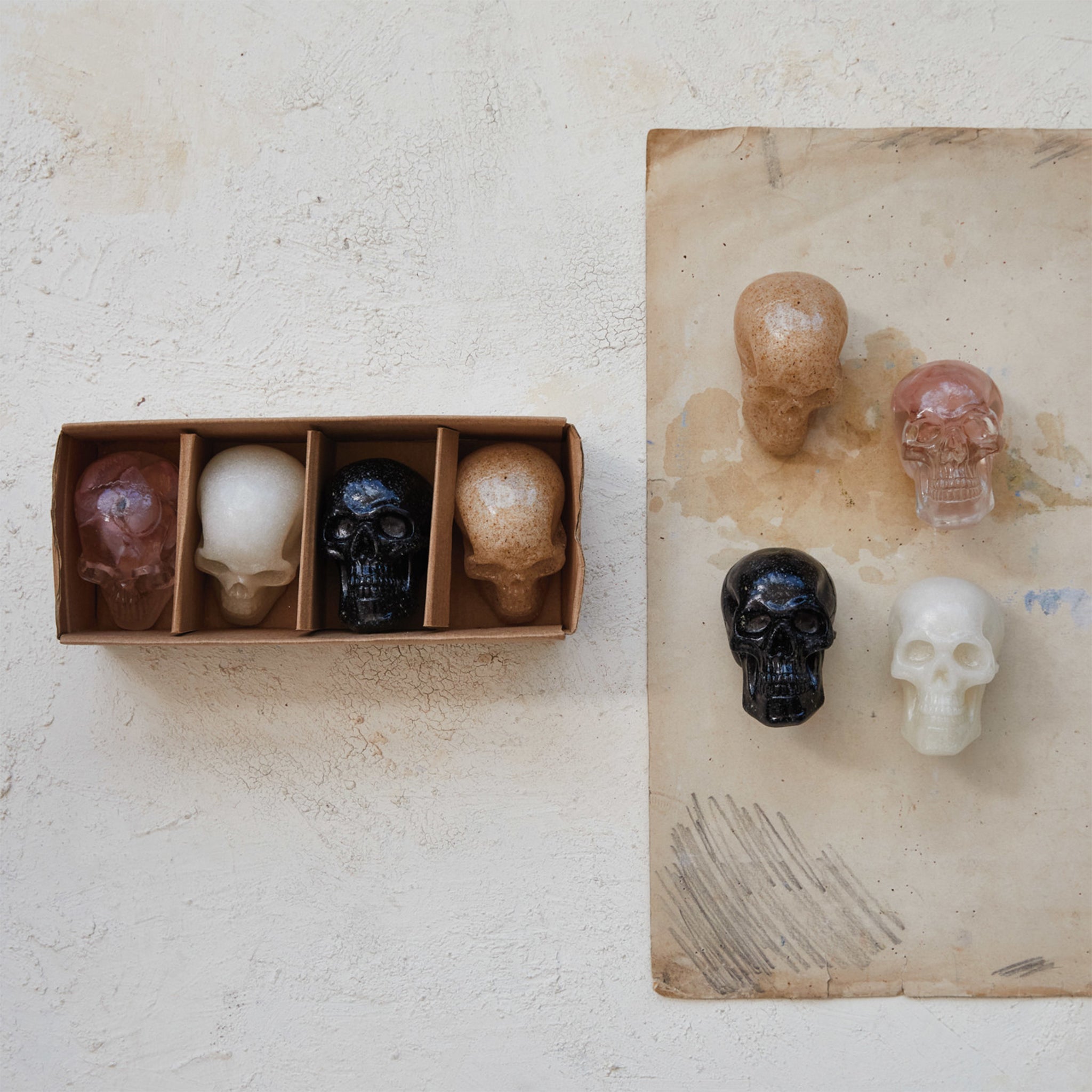 Pigment Resin Skulls - Thumbnail 3