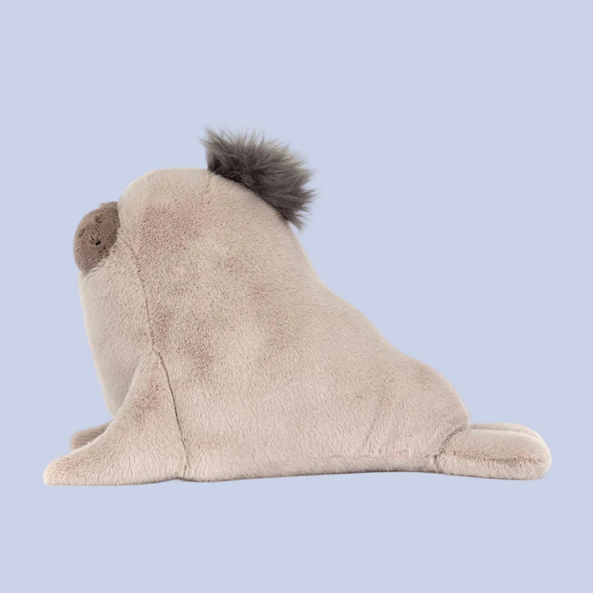 Plush toy sea lion on a blue background