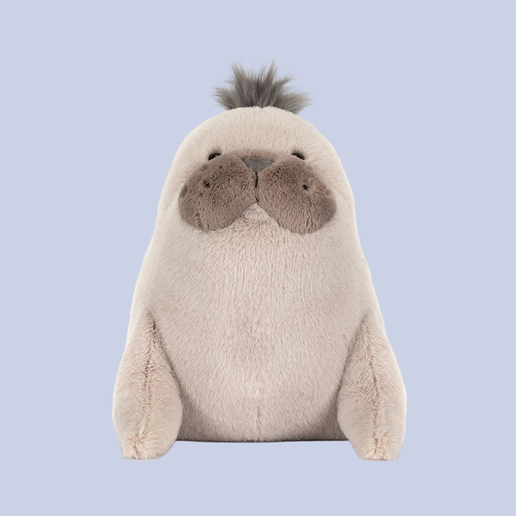 Plush toy sea lion on a blue background