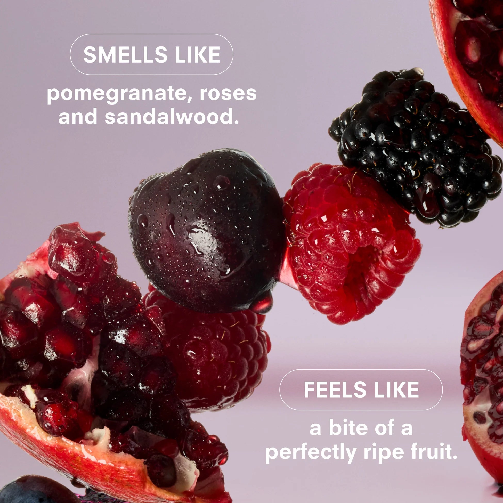 Close-up of pomegranate, berries, and cherries with text reading “Smells like pomegranate, roses and sandalwood. Feels like a bite of a perfectly ripe fruit.