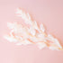 A white bundle of dried florals.