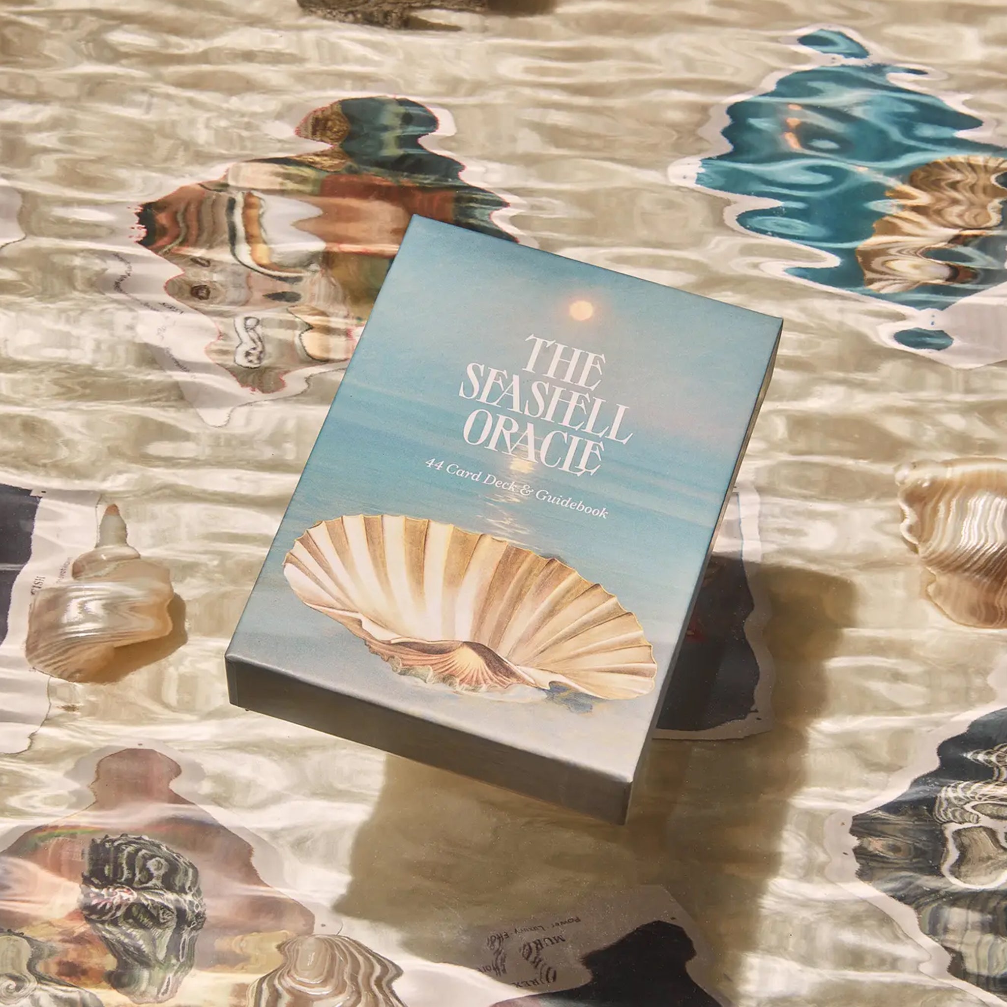 Sea Shell Oracle Pathfinder Seashell Oracle Card Deck 44 Cards - Divination Cards | Pigment