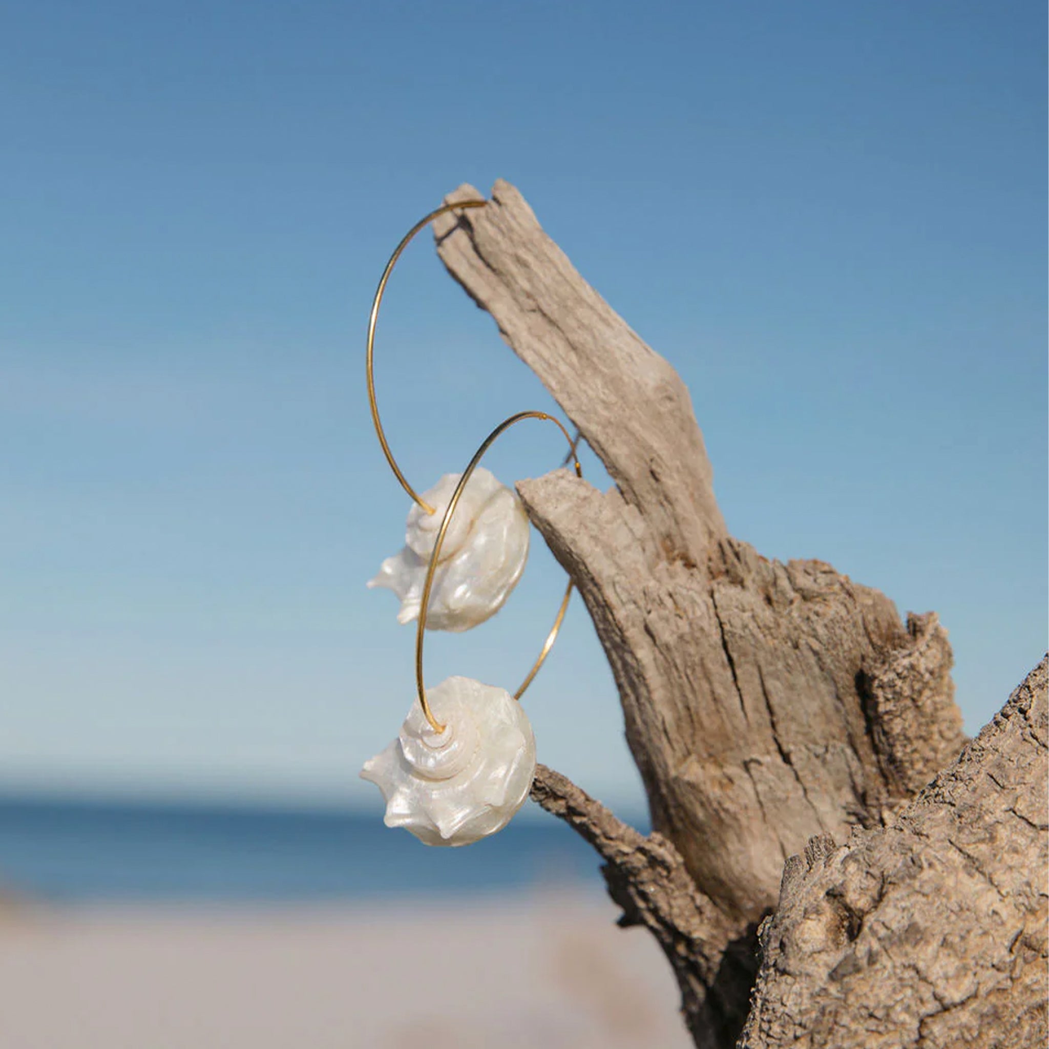 A pair of gold hoop earrings with a white shell on each hoop. 