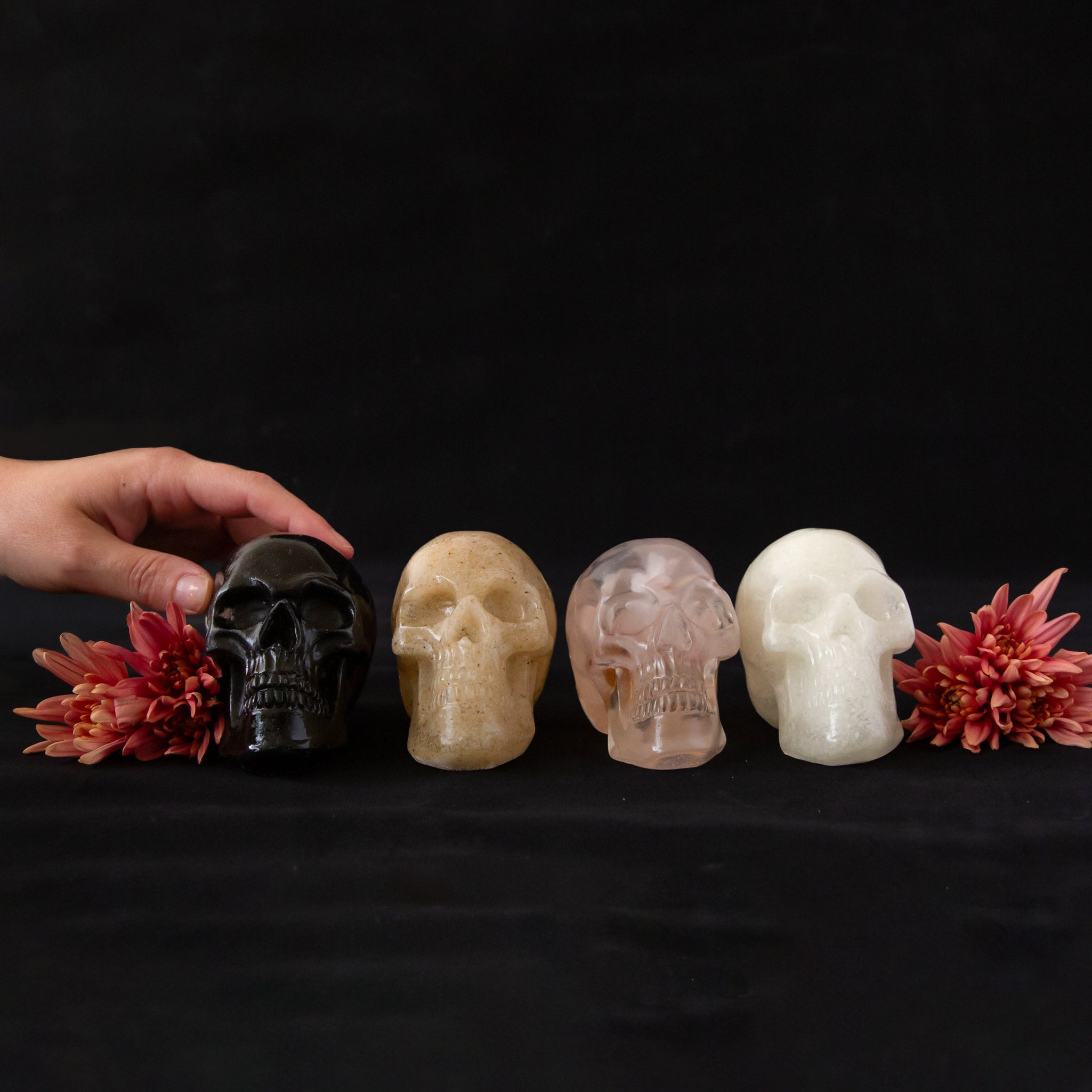 Pigment Resin Skulls - Thumbnail 4