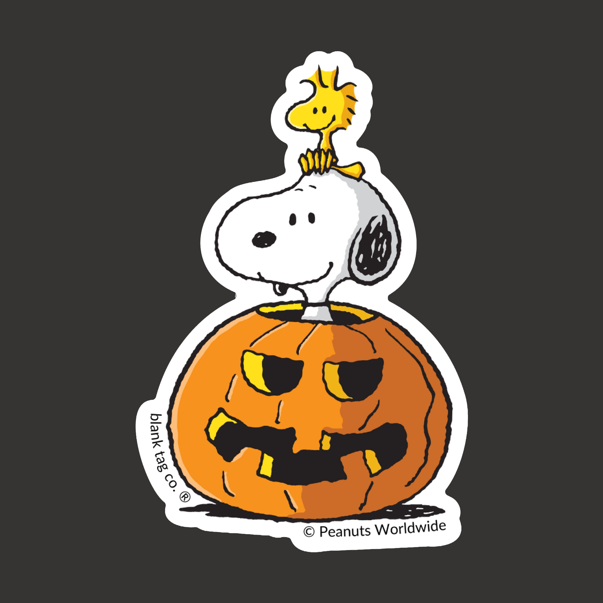 A sticker with snoopy in a pumpkin and woodstock on his head.