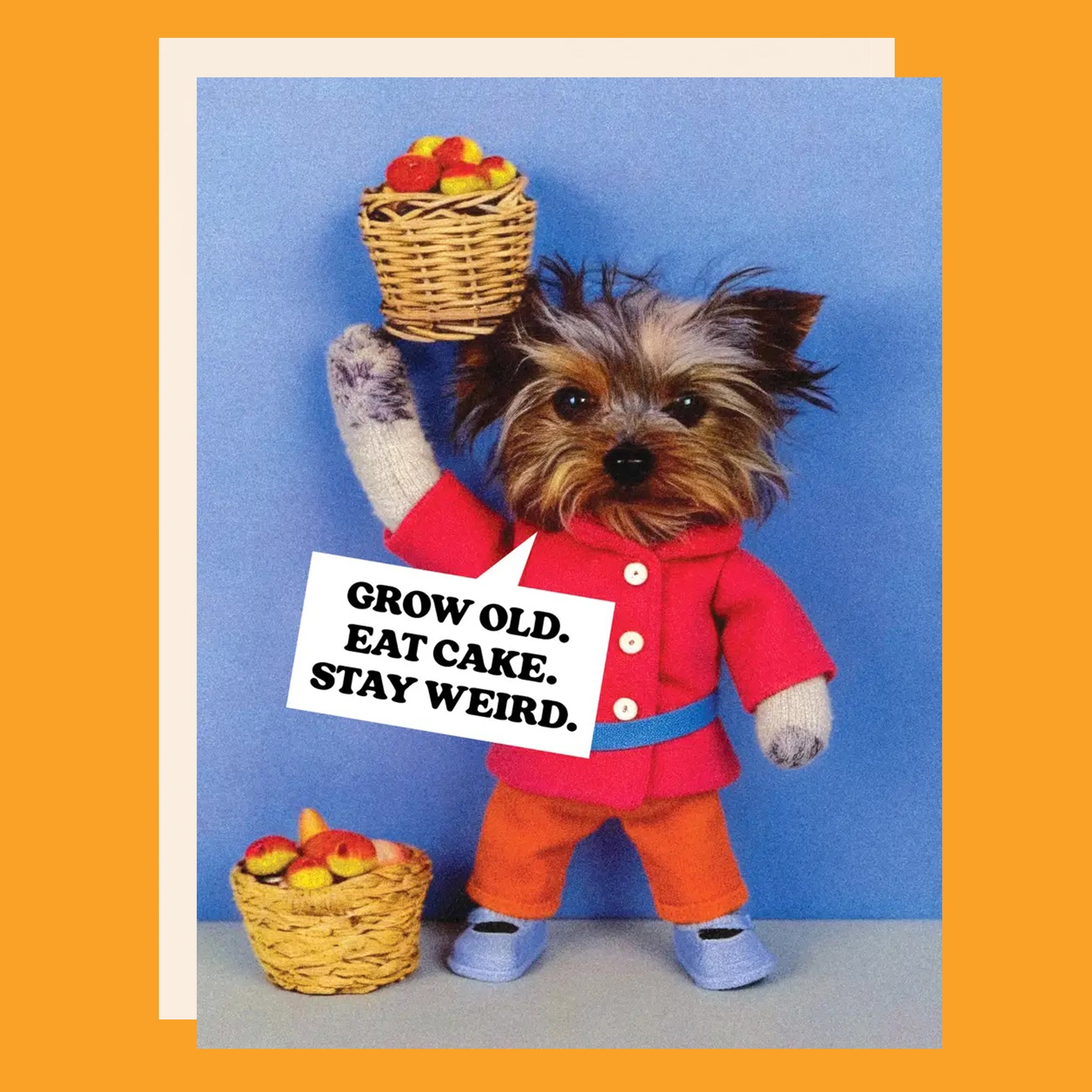 Greeting card with a dog on the front in an outfit. The card reads "Grow Old. Eat Cake. Stay Weird."
