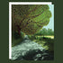 Greeting card of a big green tree in a garden. 
