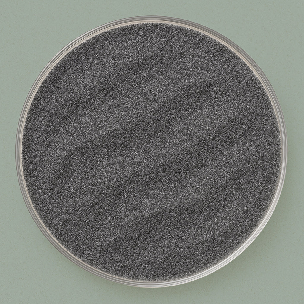 sand in a dark gray color