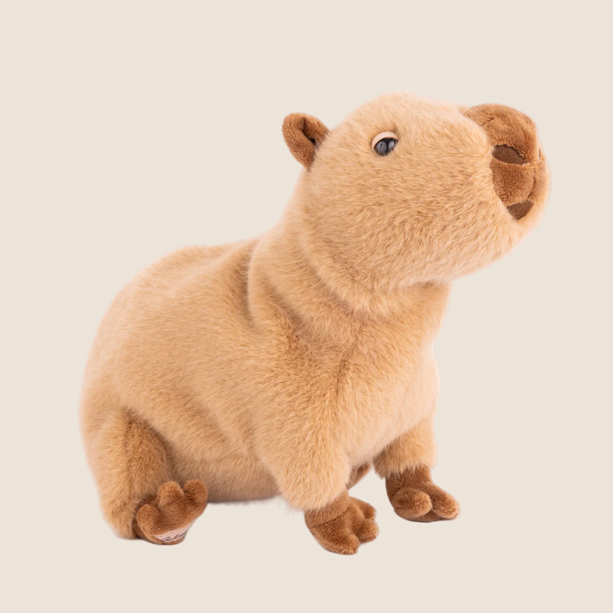 A tan Capybara stuffed animal toy. 