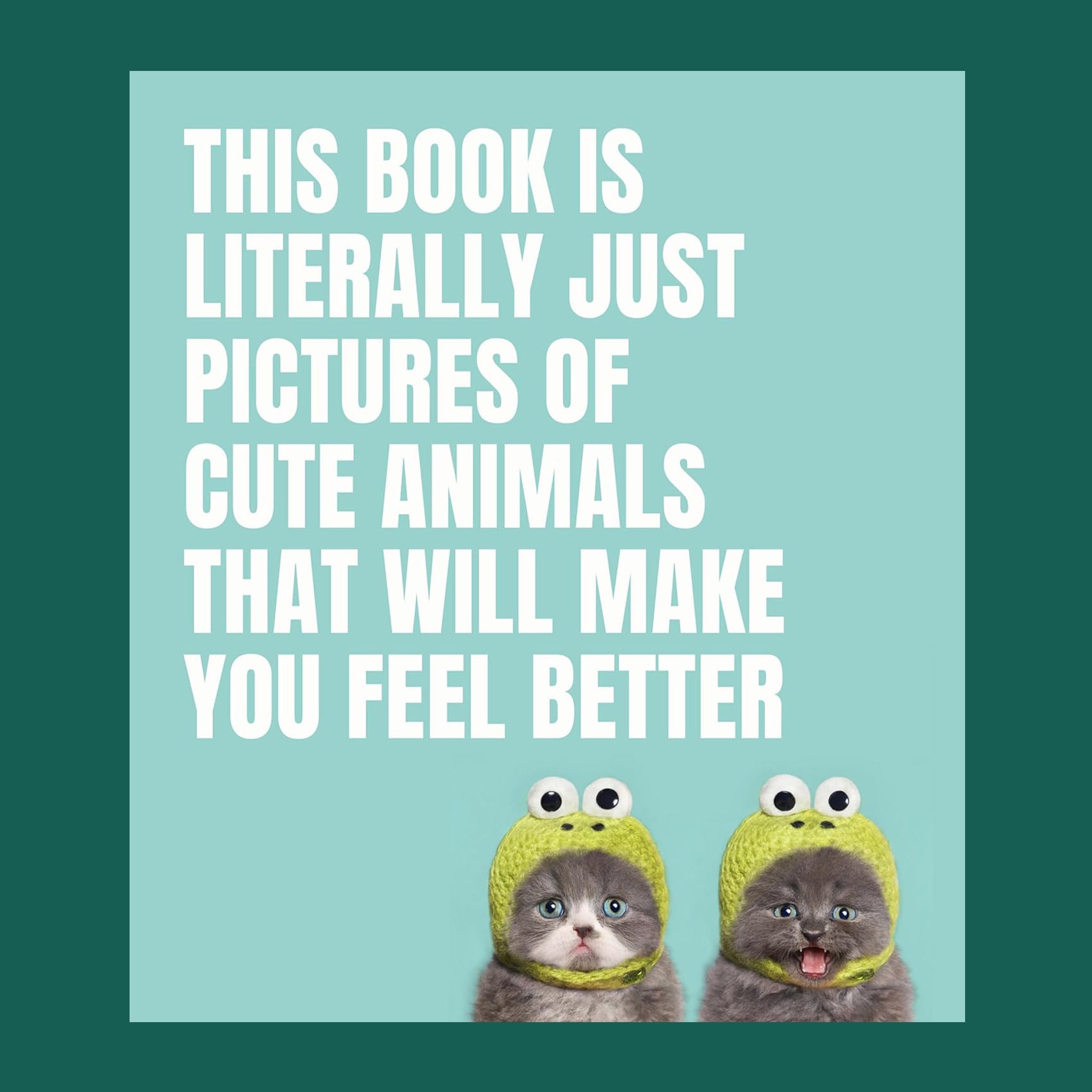 On a green background is a blue book cover with two small grey kittens and white text that reads, "This Book Is Literally Just Pictures Of Cute Animals That Will Make You Feel Better".