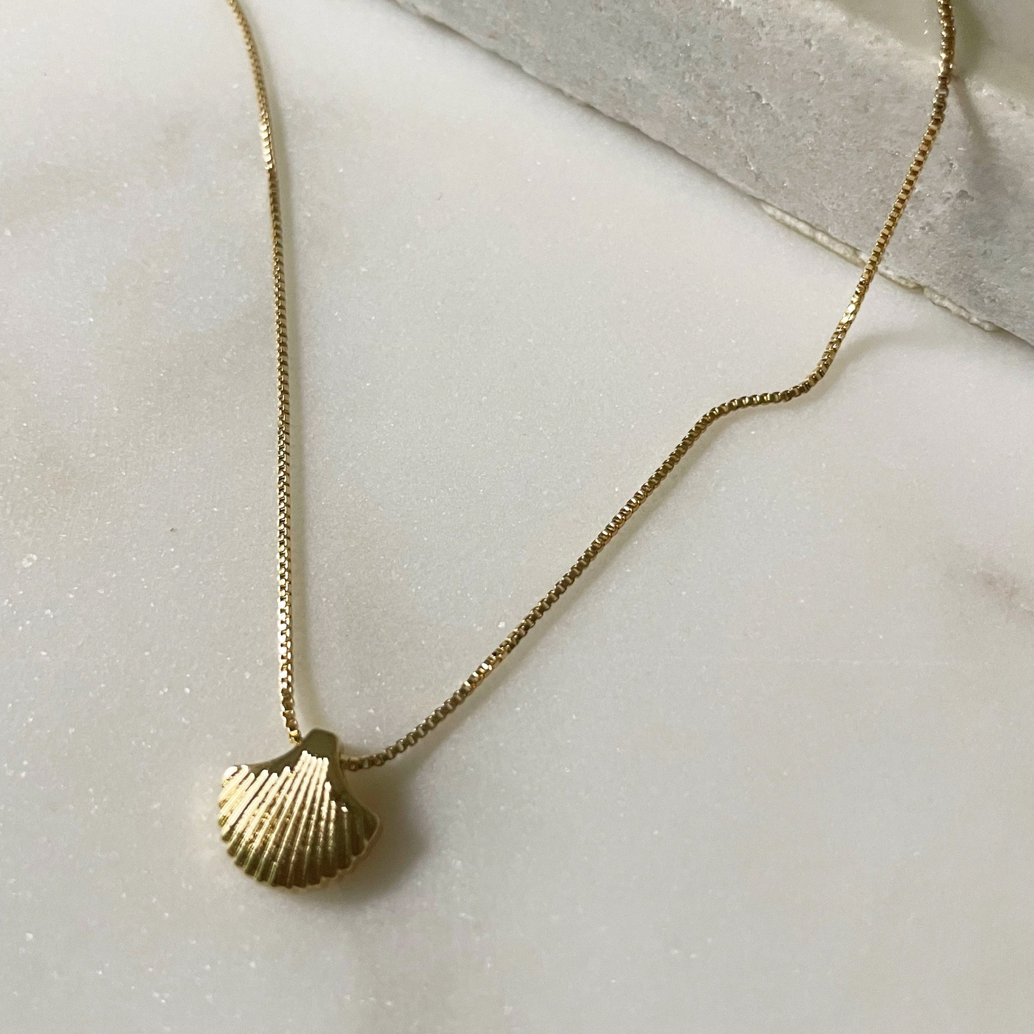 A gold chain necklace with a shell shaped charm. 