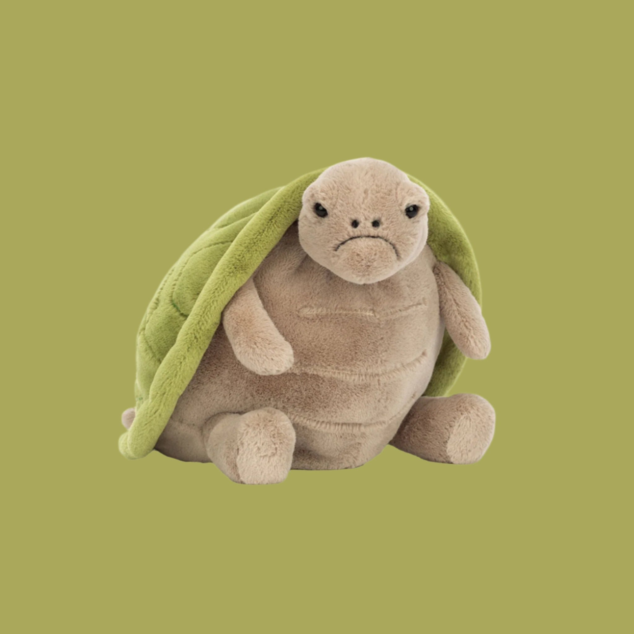 Timmy Turtle Plush Toy - Soft Stuffed Animal | Pigment