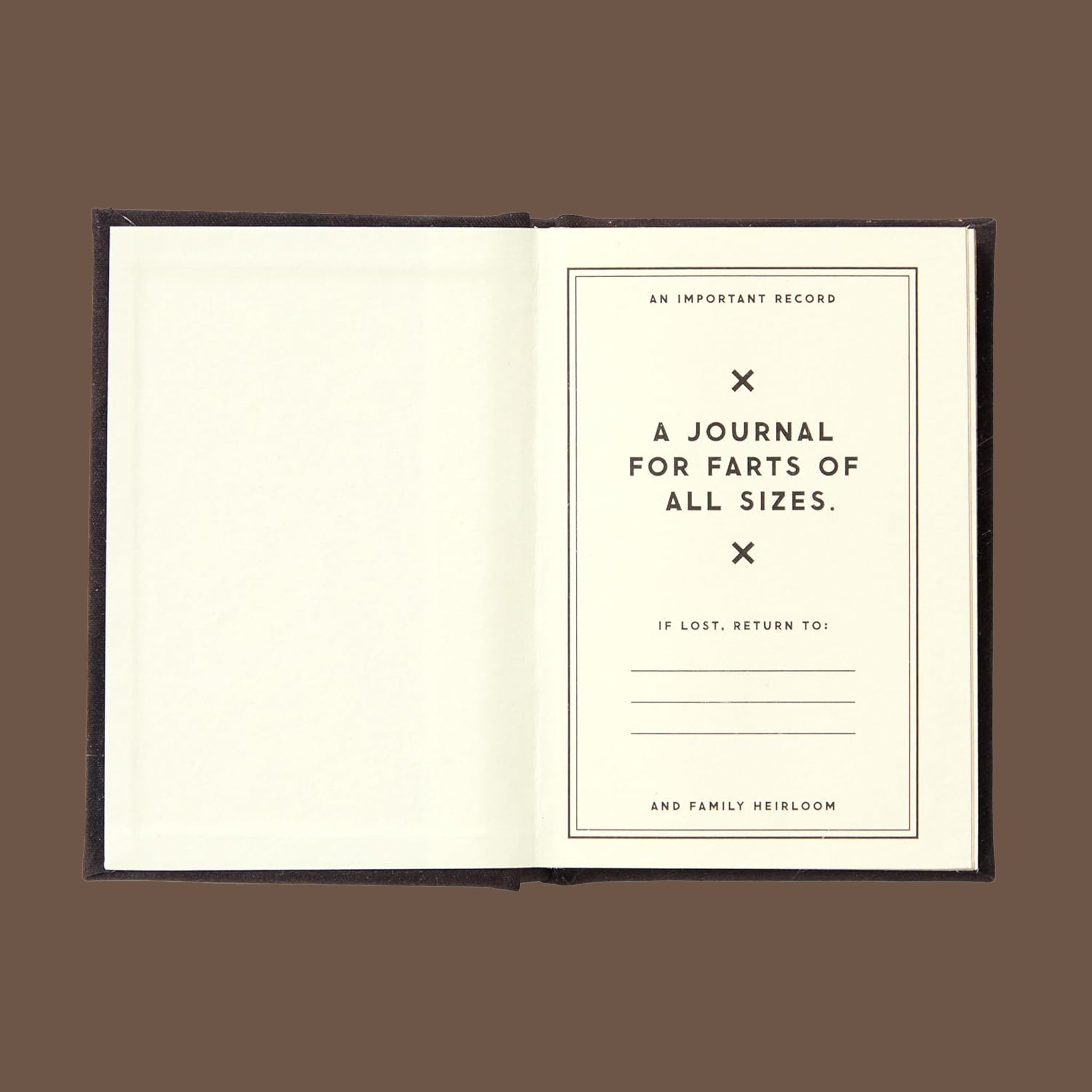 A small brown diary with gold foiled text that reads, 'A Tiny Fart Diary'. 