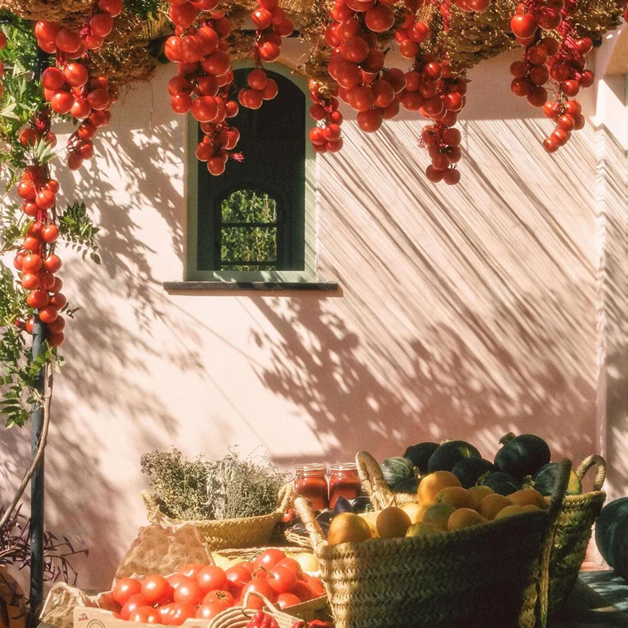 Sunlit outdoor scene with clusters of red tomatoes hanging overhead and baskets of fresh produce—tomatoes, citrus, herbs, and melons—arranged on a table against a pale pink wall with a green-trimmed window.