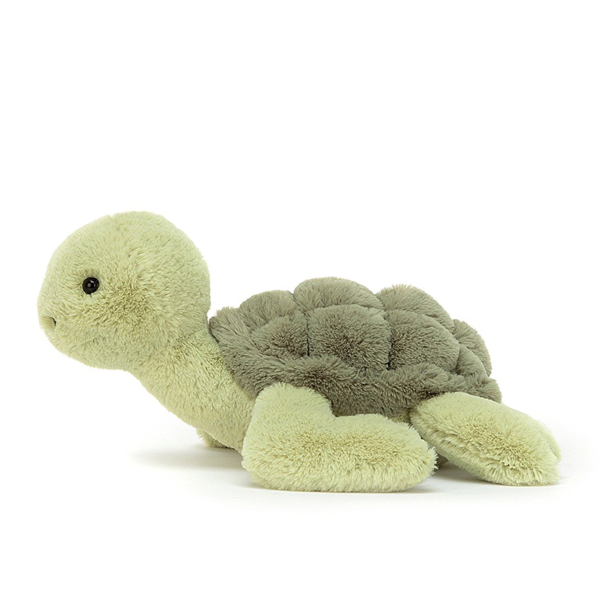 On a white background is a light green turtle stuffed animal.