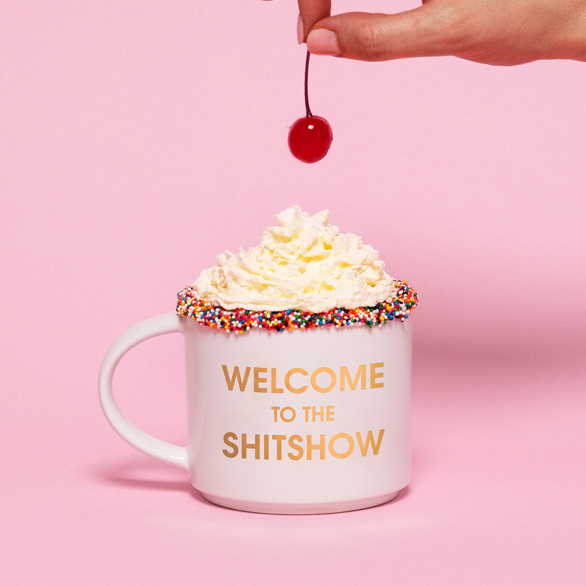 Classic white ceramic mug with a thin round handle labeled 'Welcome to the Shitshow' in reflective gold lettering.