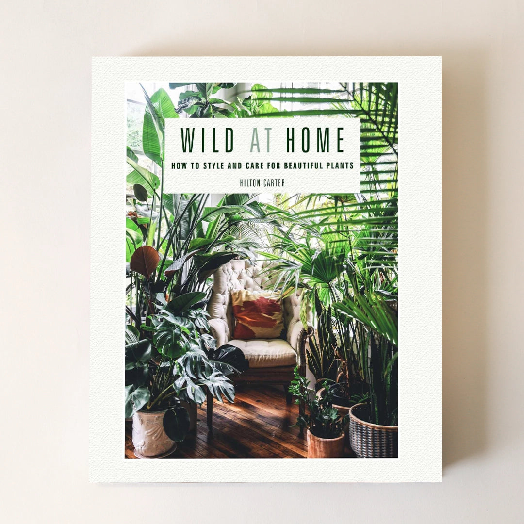 On a light cream background is a white and green book with a photograph of a variety of house plants along with the title that reads, &quot;Wild At Home: How To Style And Care For Beautiful Plants&quot;. 
