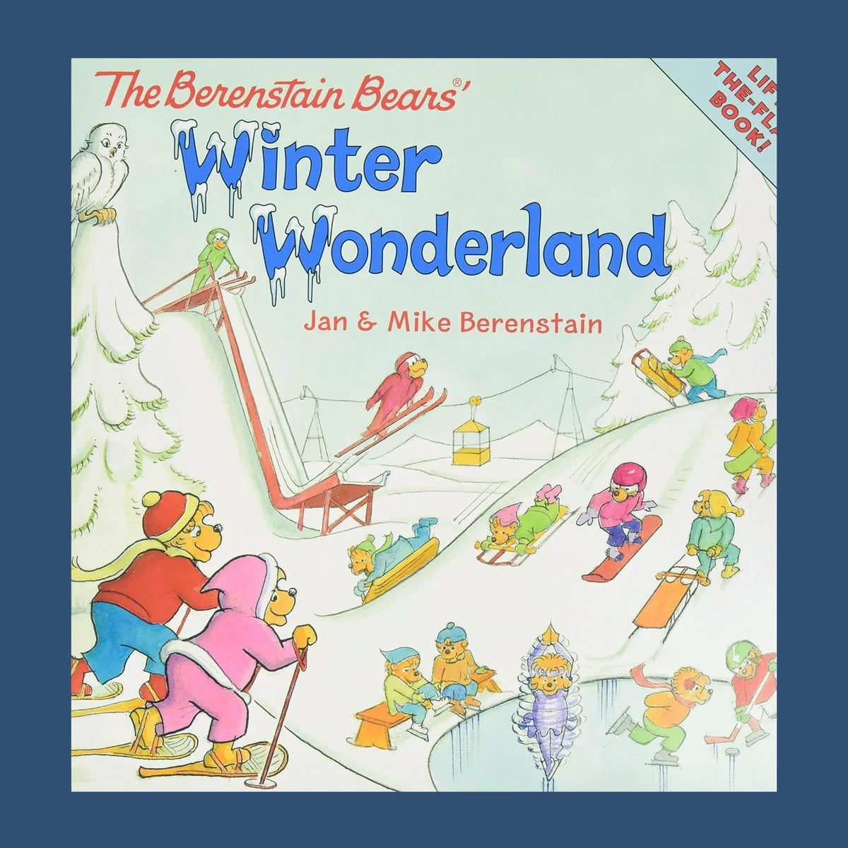 The Berenstain Bears Winter Wonderland book cover.