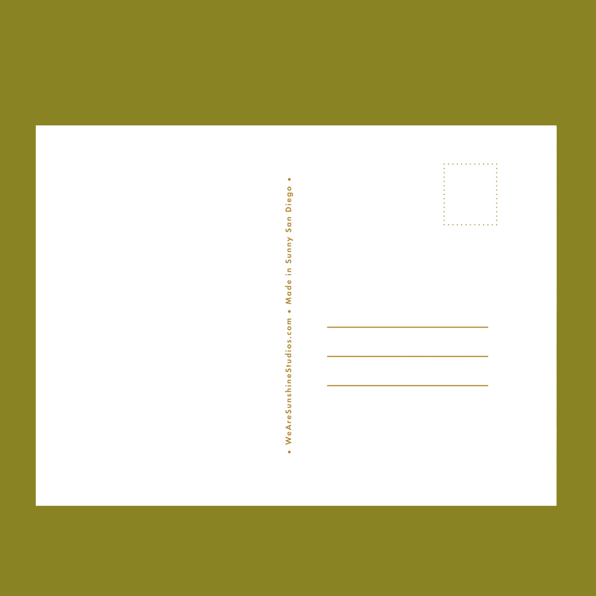 The back of a postcard on a green ground.