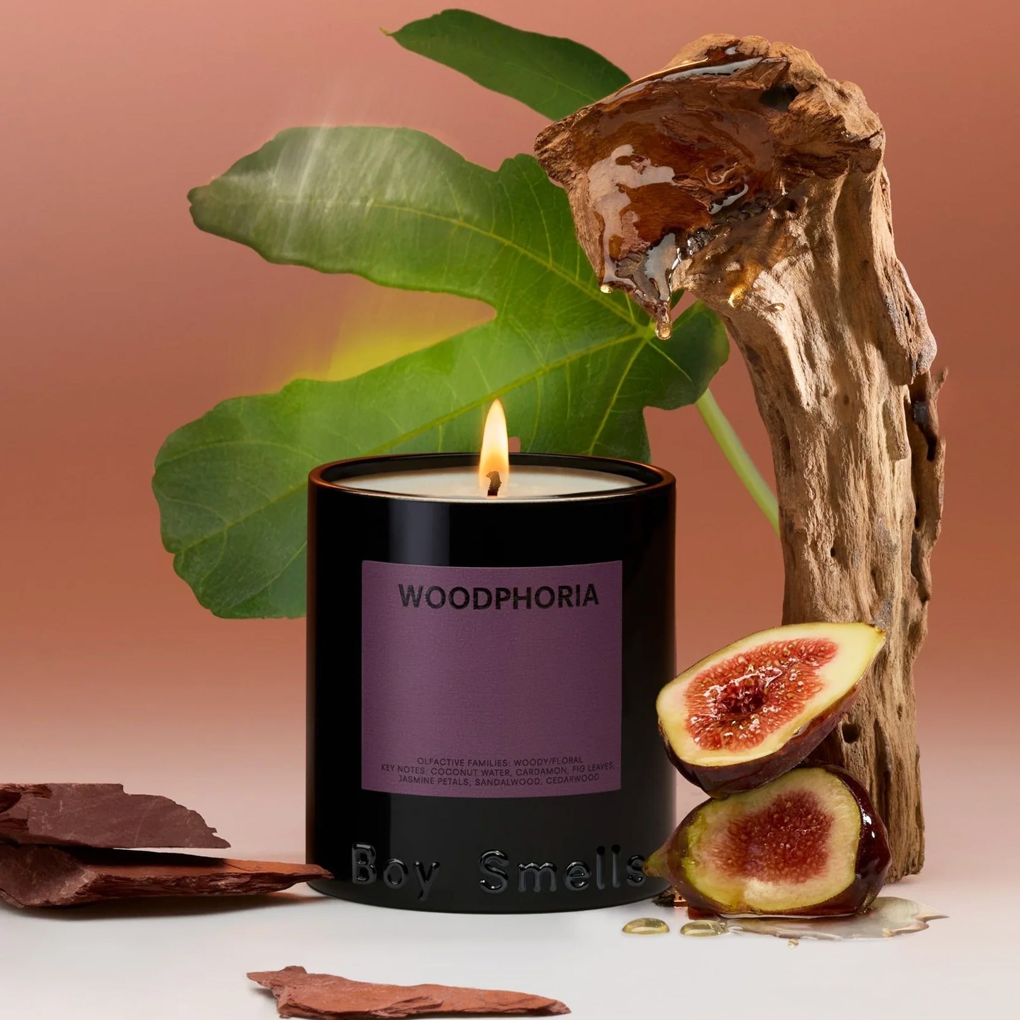 A black candle with a purple label in the center and black text that reads, 'Woodphoria Boy Smells". 