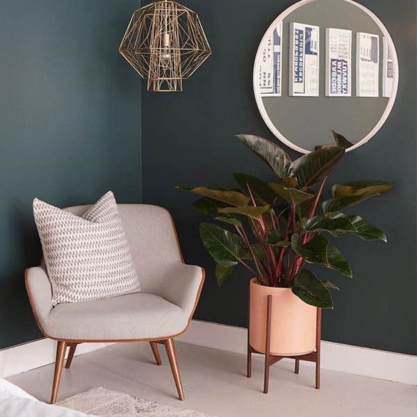 Modern chair with grey fabric and golden teak wood detailing sits besides a peach colored planter. The planter sits within four spokes of a walnut wood plant stand, holding a large plant with lush green leaves and purple stems. A white, round mirror sits behind and a gold wire lap hangs above. The scene is set against a deep teal painted wall. 