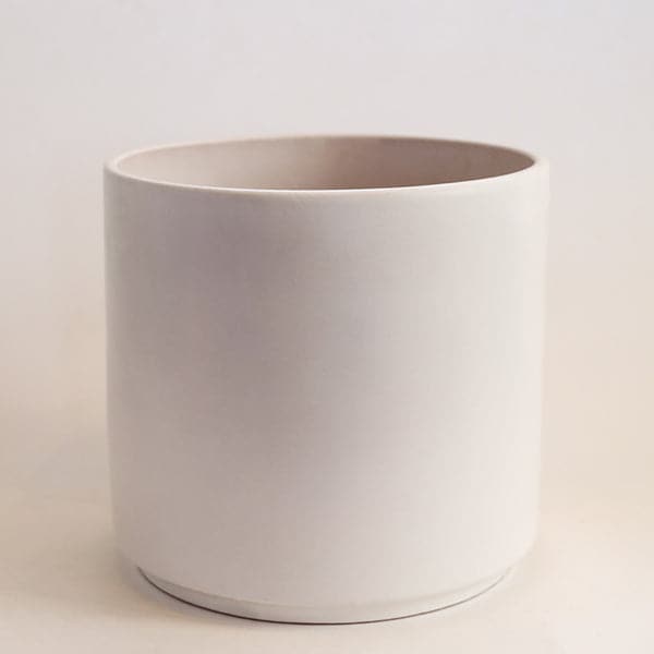 In front of a white background is the medium size of the three white cylinder ceramic planters.