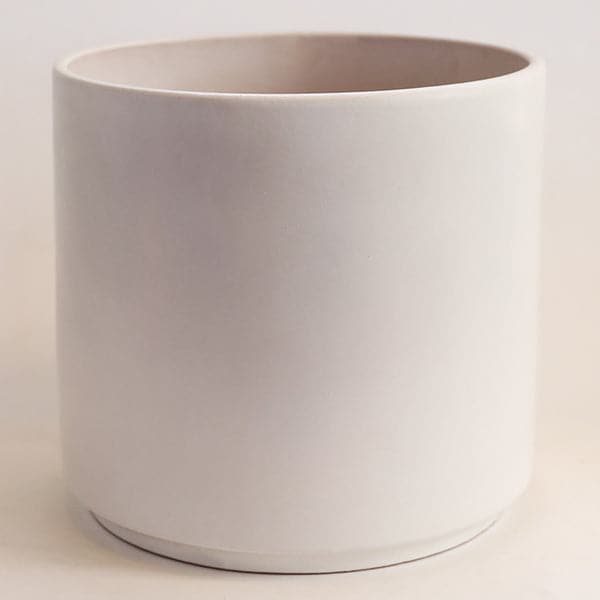 In front of a white background is the largest size of the three white cylinder ceramic planters.