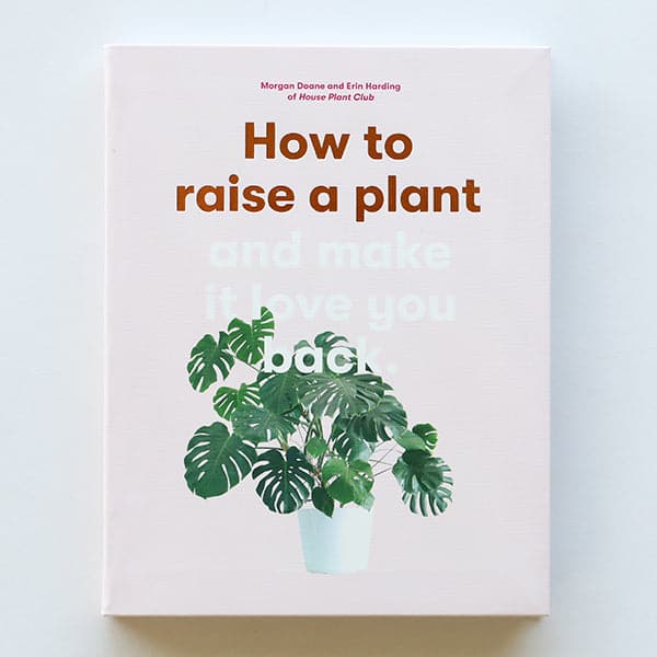 On a white background is a light pink book cover with a green monstera on the front along with the title that reads, &quot;How to raise a plant and make it love you back&quot;. 