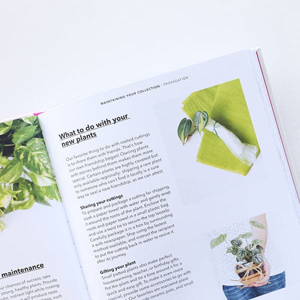 A sneak peek inside the book that shows some of the tips inside like what to do with your new plants, accompanied by photographs. 