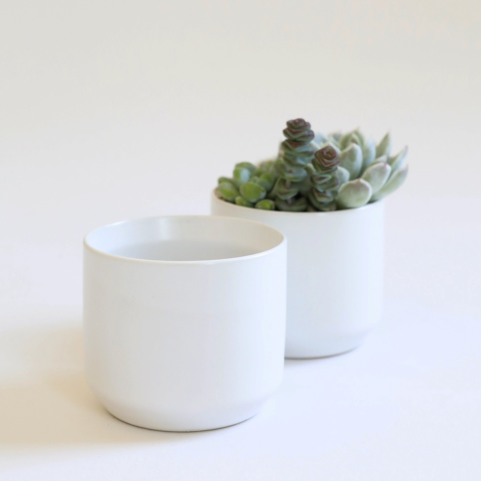 an empty simple white pot sits in front of another filled with succulents