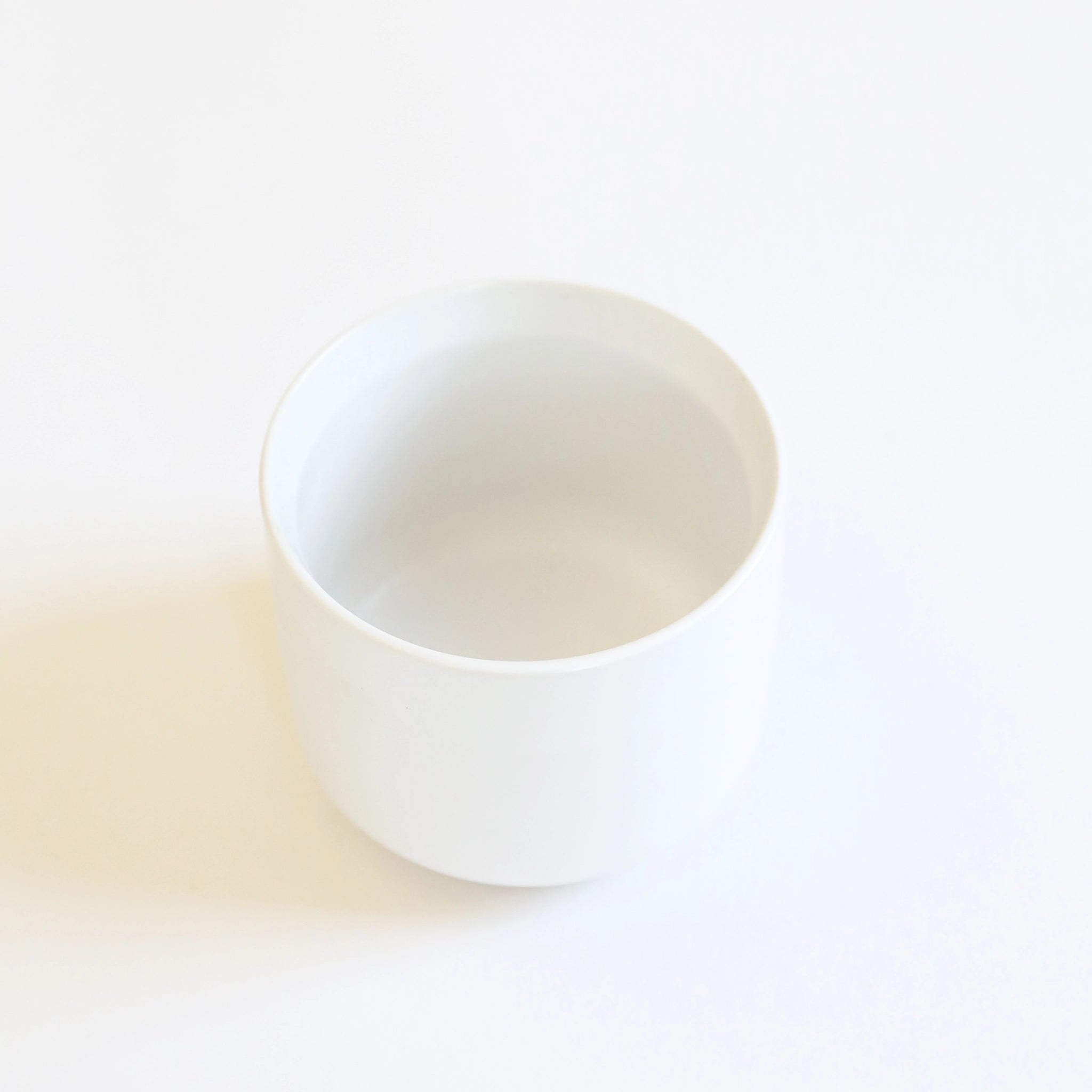 interior view of a simple white pot
