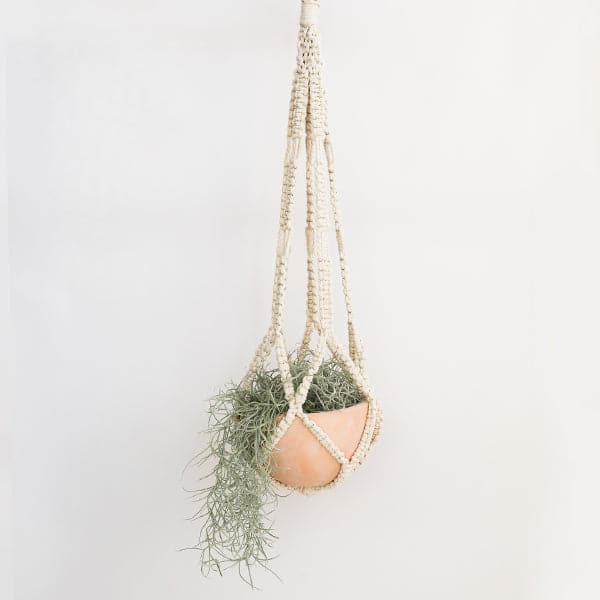 In front of a white background is a natural colored macrame plant hanger with diamond detailing that is photographed here holding a terracotta pot that has Spanish moss inside. 