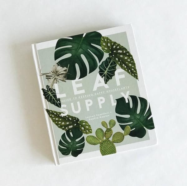 On a white background is a photograph of a mint green book cover with various house plant leaves on the front as well as white text that reads, &quot;Lead Supply A Guide To Keeping Happy House Plants&quot;.